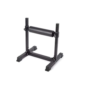 Bulgarin Split Squat Rack