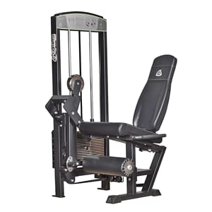 Leg Extension