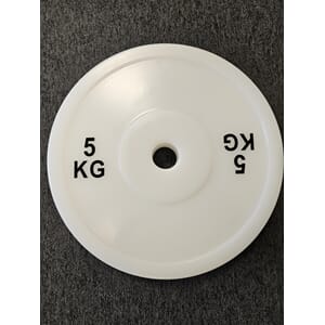 Teknikkskive 5 kg